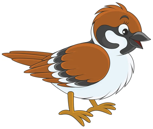 棕色的小麻雀 — 图库矢量图片