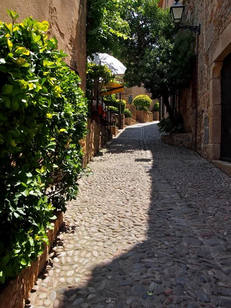 Calle Ciudad Vieja — Foto de Stock