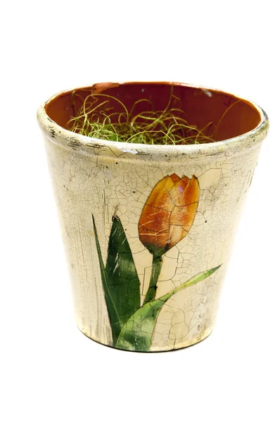Gras im schönen Topf mit gezogener Tulpe — Stockfoto