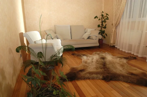 Interior of living room — Stock Photo, Image