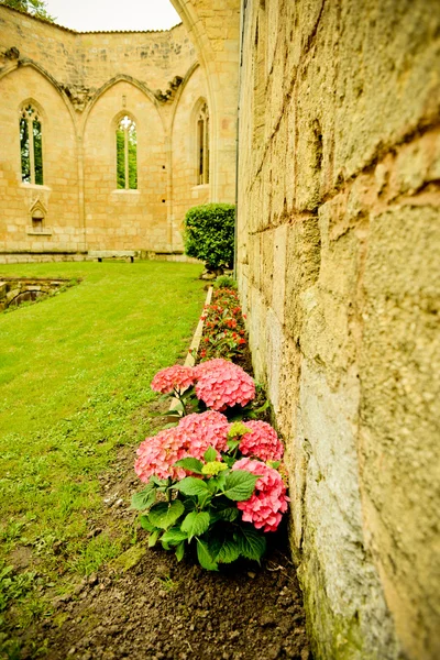 Velha ruína de um mosteiro construído no século XIII em Saint-Emilion, França — Fotografia de Stock