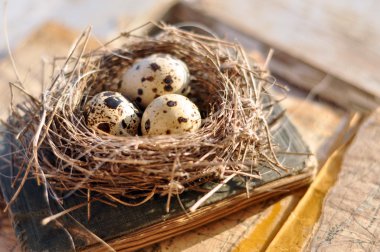 Ve eski harita ve sahte bir şamdan