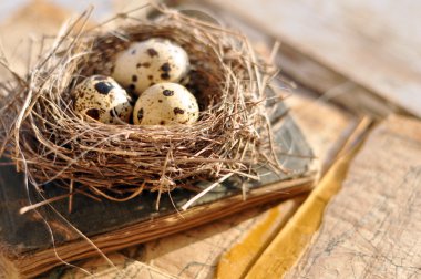 Ve eski harita ve sahte bir şamdan