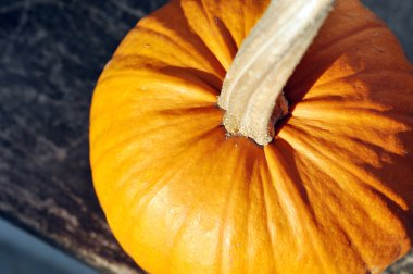 Küçük kabak açık havada