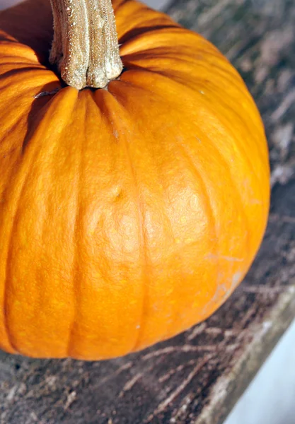 Small pumpkin outdoors — Stock Photo, Image