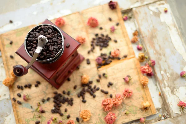 コーヒー豆、乾燥されたばら — ストック写真