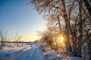 Soğuk bir sabahta güzel bir manzara.