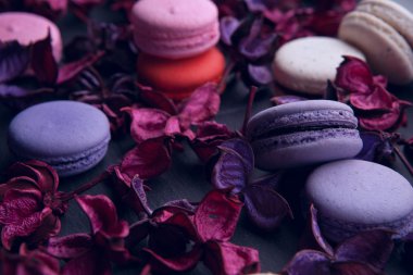 lezzetli Fransız tatlı macarons