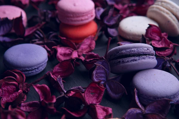 Delicious French dessert macarons — Stock Photo, Image