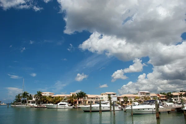 Tropical marina and yachts — Stock Photo, Image