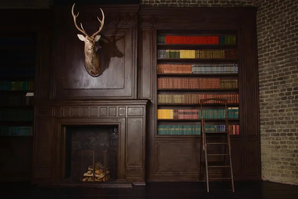 Klasická knihovna místnost ve viktoriánském stylu — Stock fotografie