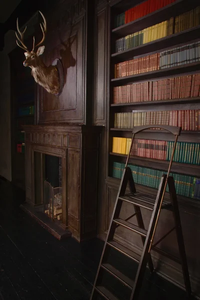 Klassisk bibliotek rum i viktoriansk stil — Stockfoto