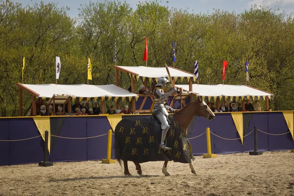 Torneo de Caballeros de San Jorge. Moscú en mayo 1, 2016 — Foto de Stock