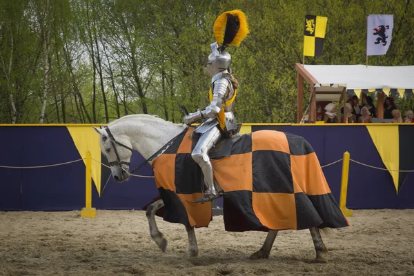 St.George rytířské turnaje. Moskva na 1 května 2016 — Stock fotografie