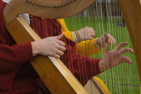 Harp strings close up hands — Stock Photo, Image