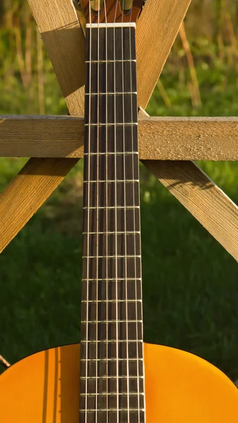 Гитара возле цветущей вишни — стоковое фото