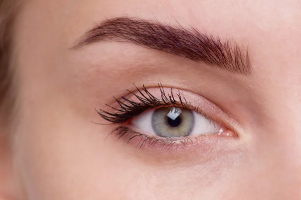 Macro image of woman's eye. — Stock Photo, Image