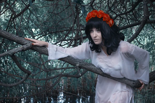 Sirène sur le lac de la forêt — Photo