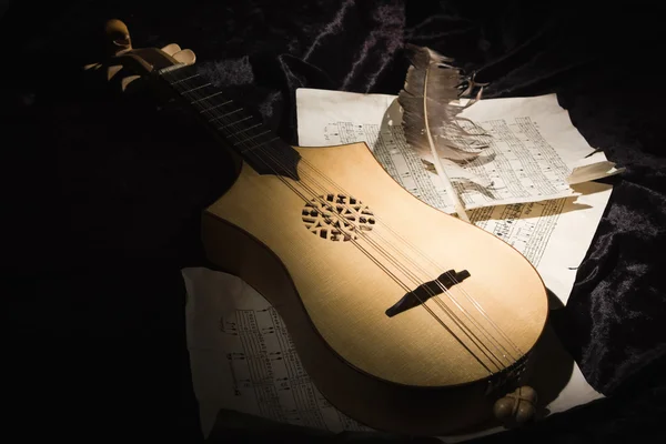 Renaissance lute (citole) with musical notes — Stock Photo, Image