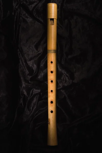 Ренессанс альт рекордер (флейта) ) — стоковое фото