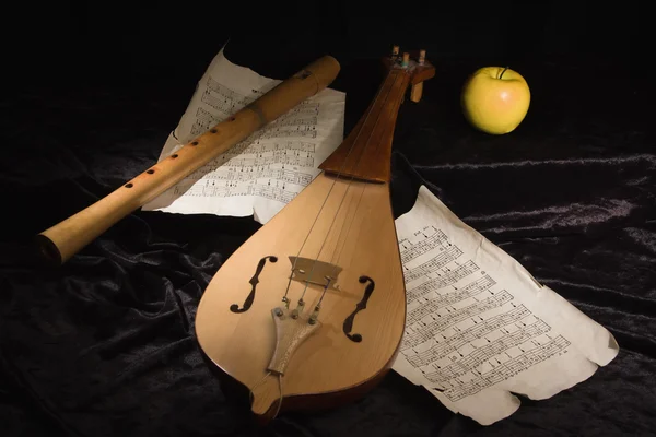 Violino rinascimentale (rebec) e contralto registratore — Foto Stock