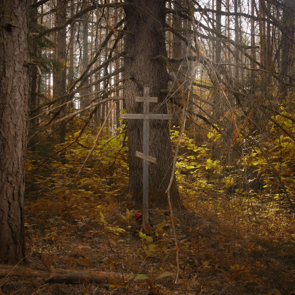 Cross i dimmiga skogen — Stockfoto