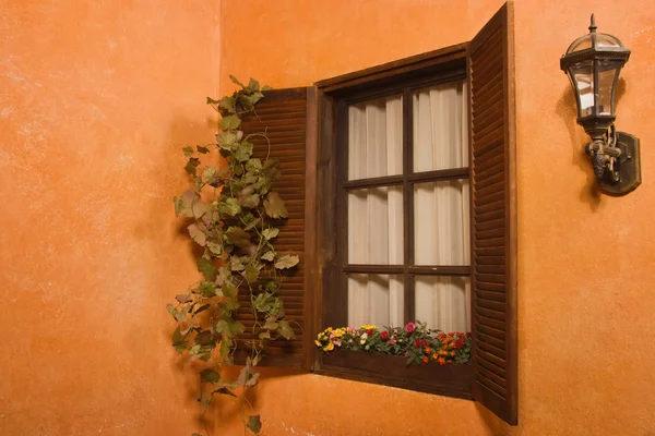 Fenster mit Traube — Stockfoto