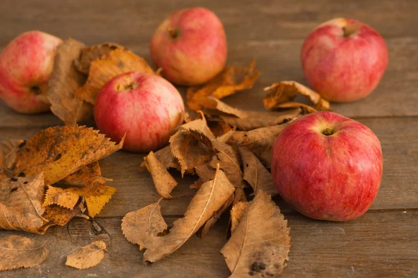 Rote reife Äpfel — Stockfoto