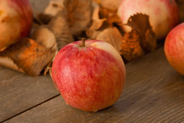 红色成熟的苹果 — 图库照片