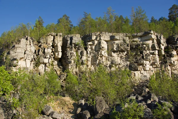 Сосновий ліс в покинутому кам'яному кар'єрі — стокове фото