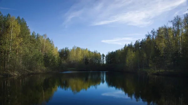 Lesní jezero — Stock fotografie