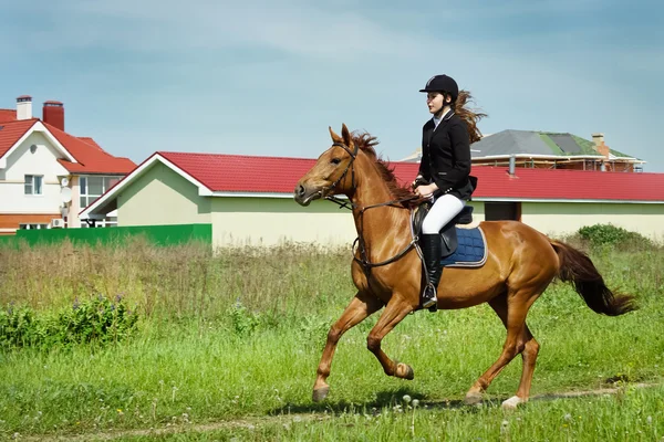 Hermosa chica jinete librando caballo en un campo — Foto de Stock