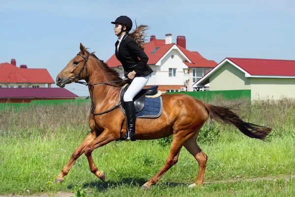 Güzel kız jokey at bir alanda ridding — Stok fotoğraf