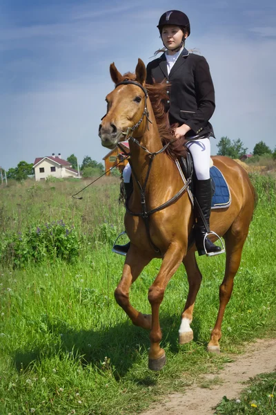 Beautiful girl jockey ridding horse in a field — Stock Photo, Image