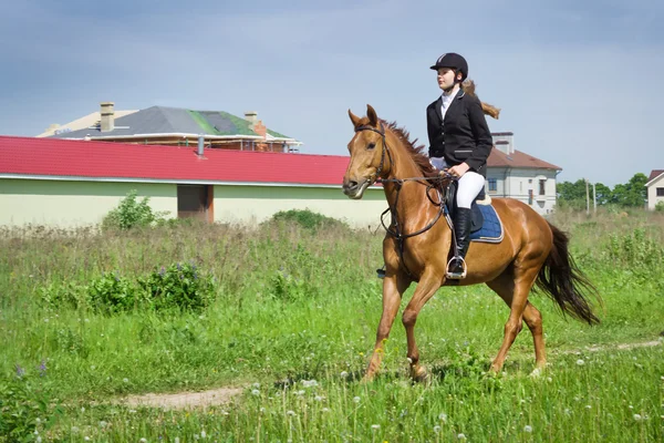 Menina bonita jockey livrando cavalo em um campo — Fotografia de Stock