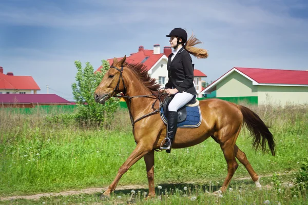 Mooi meisje jockey bevrijden paard in een veld — Stockfoto