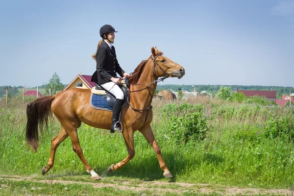 Beautiful girl jockey ridding horse in a field — Stock Photo, Image