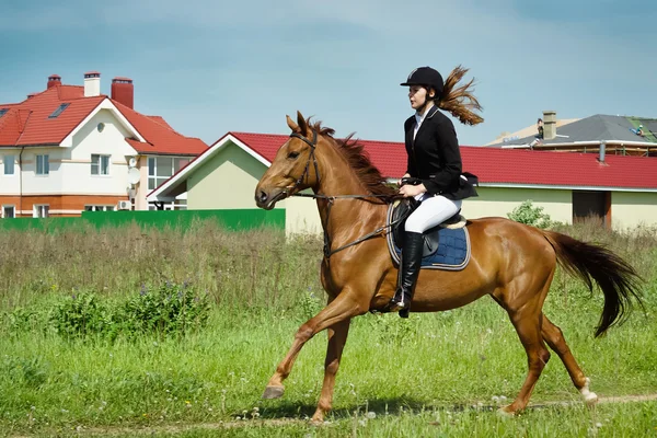 Menina bonita jockey livrando cavalo em um campo — Fotografia de Stock