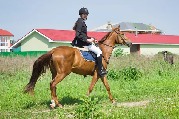 Hermosa chica jinete librando caballo en un campo — Foto de Stock