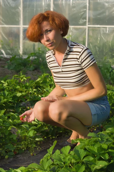 Beautiful woman gardening and smiling at camera — Stock Photo, Image