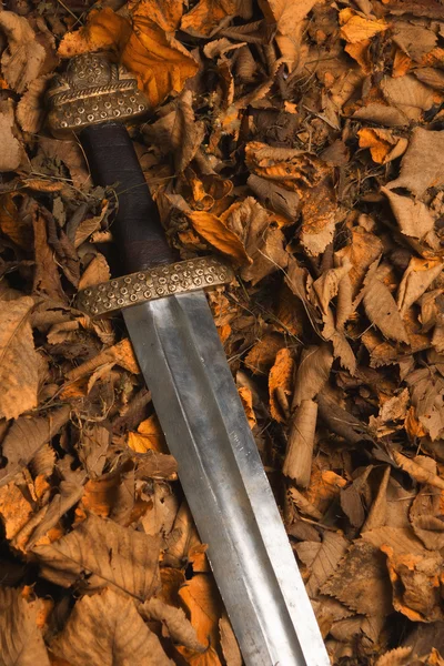 Espada Viking contra o pano de fundo das folhas de outono — Fotografia de Stock