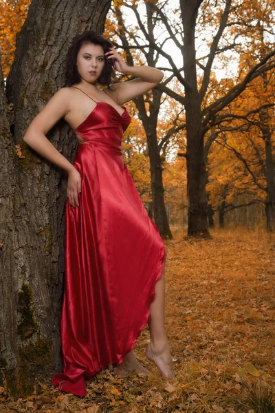 Menina em um vestido vermelho na floresta de outono — Fotografia de Stock