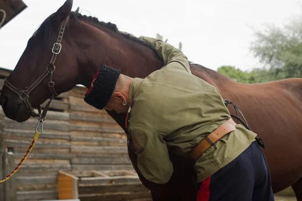 Kosack grooming häst i stall — Stockfoto