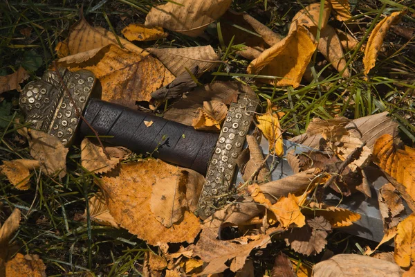 Viking zwaard tegen de achtergrond van de herfst bladeren — Stockfoto