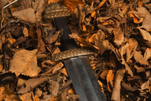 Épée viking sur fond de feuilles d'automne — Photo