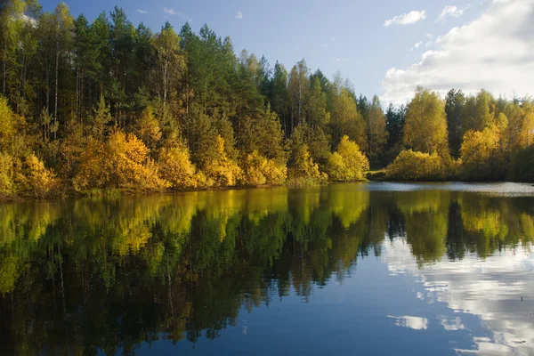 Outono lago floresta — Fotografia de Stock