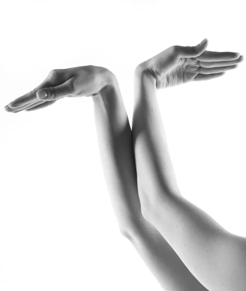 Dançarino de balé mãos sobre branco — Fotografia de Stock