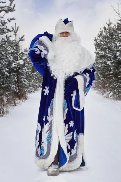 Ded Moroz (Father Frost) con sacchetto di regali nella foresta invernale — Foto Stock