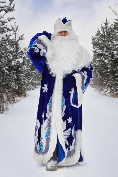 Ded Moroz (Father Frost) with gifts bag in the winter forest — Stock Photo, Image