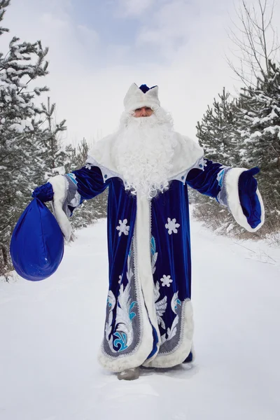 Ded Moroz (Father Frost) com saco de presentes na floresta de inverno — Fotografia de Stock